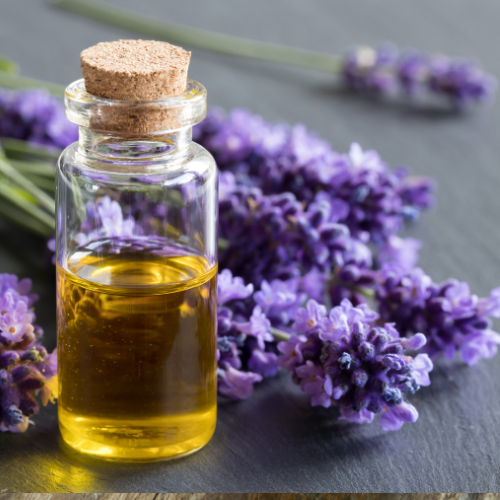 lavender collection