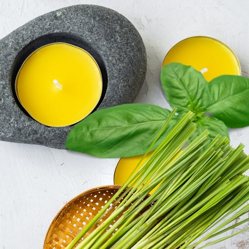 Citronella & Neem collection