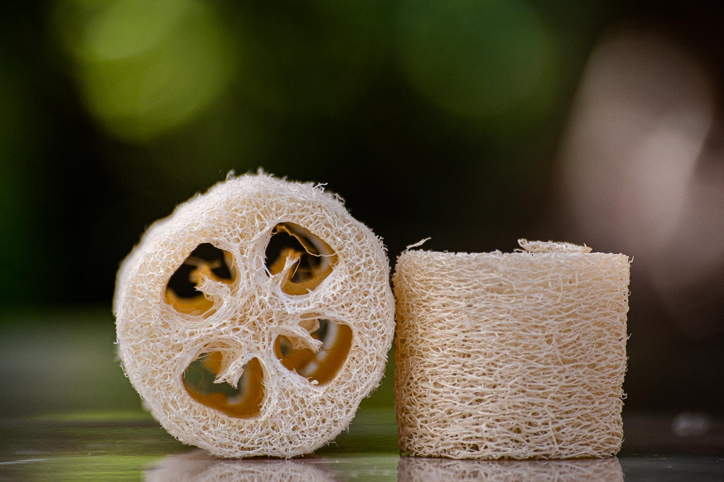 Loofah Sponges